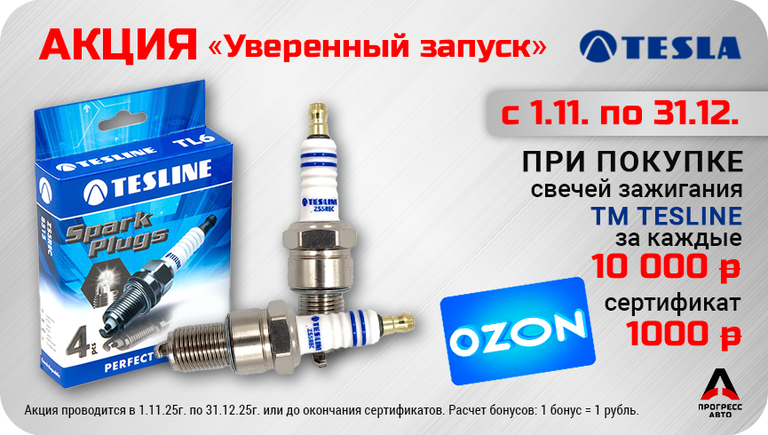 Акция TESLINE
